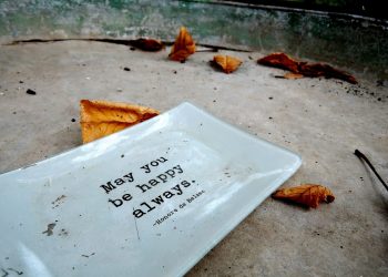 Mindful Musings: Inspiring Quotes to Elevate Your Awareness