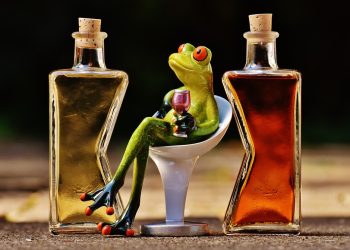 Laugh Out Loud: The Best Funny Life Sayings to Brighten Your Day