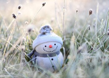 Laugh Out Loud: Hilarious Quotes to Brighten Your Day